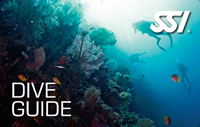 SSI Dive Guide