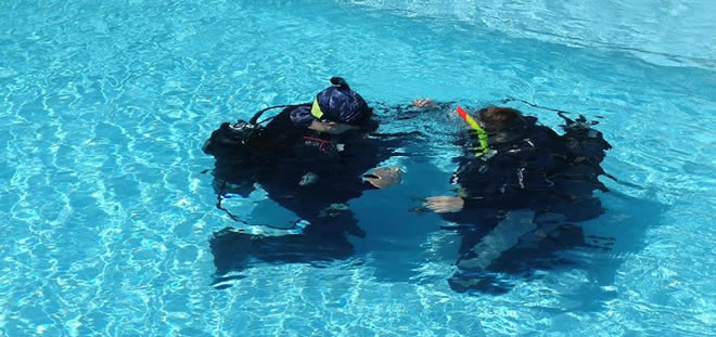 Dive Certification