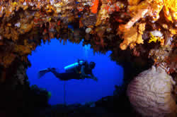 Diving In Bali