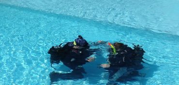 Dive Courses